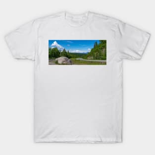 Denali Panorama T-Shirt